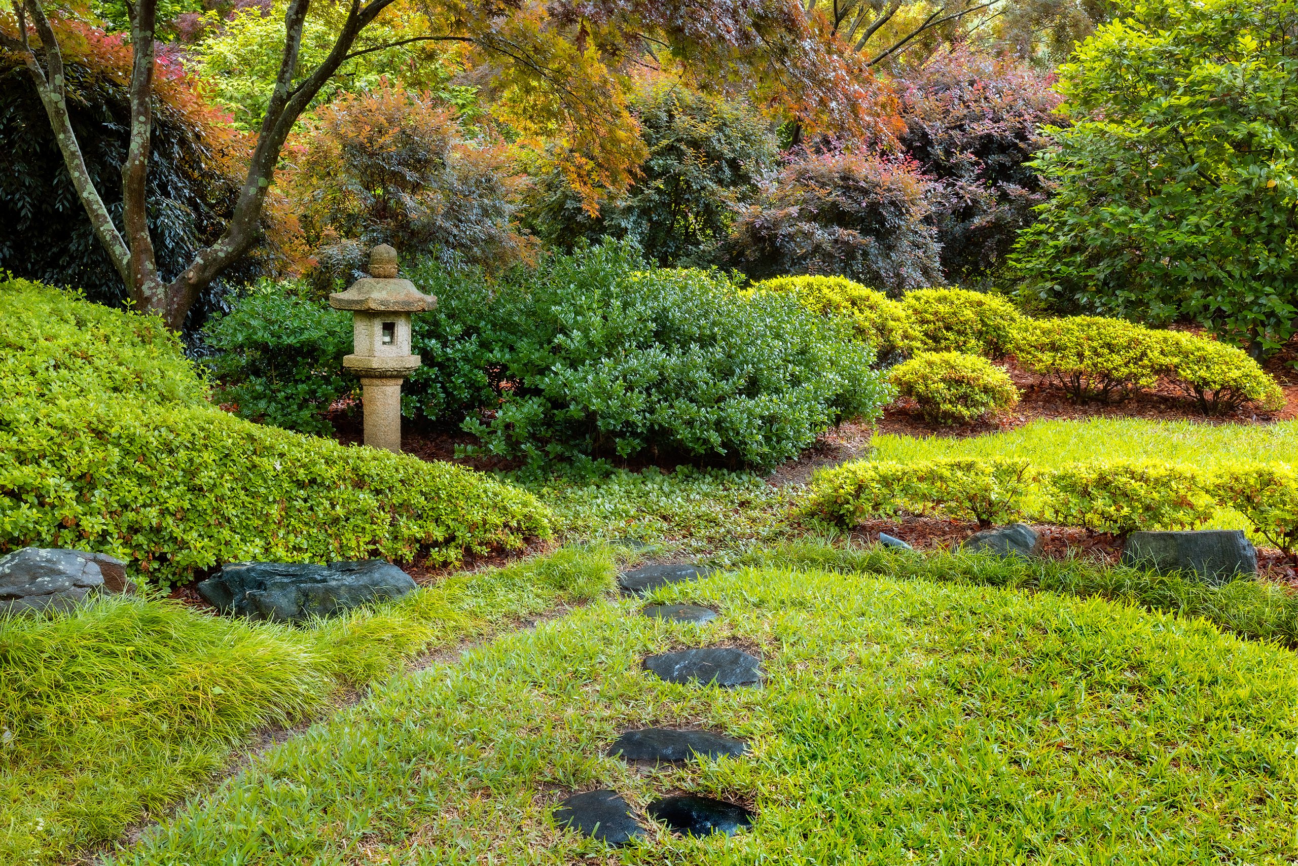 From Kyoto to Columbia - Columbia Metropolitan Magazine