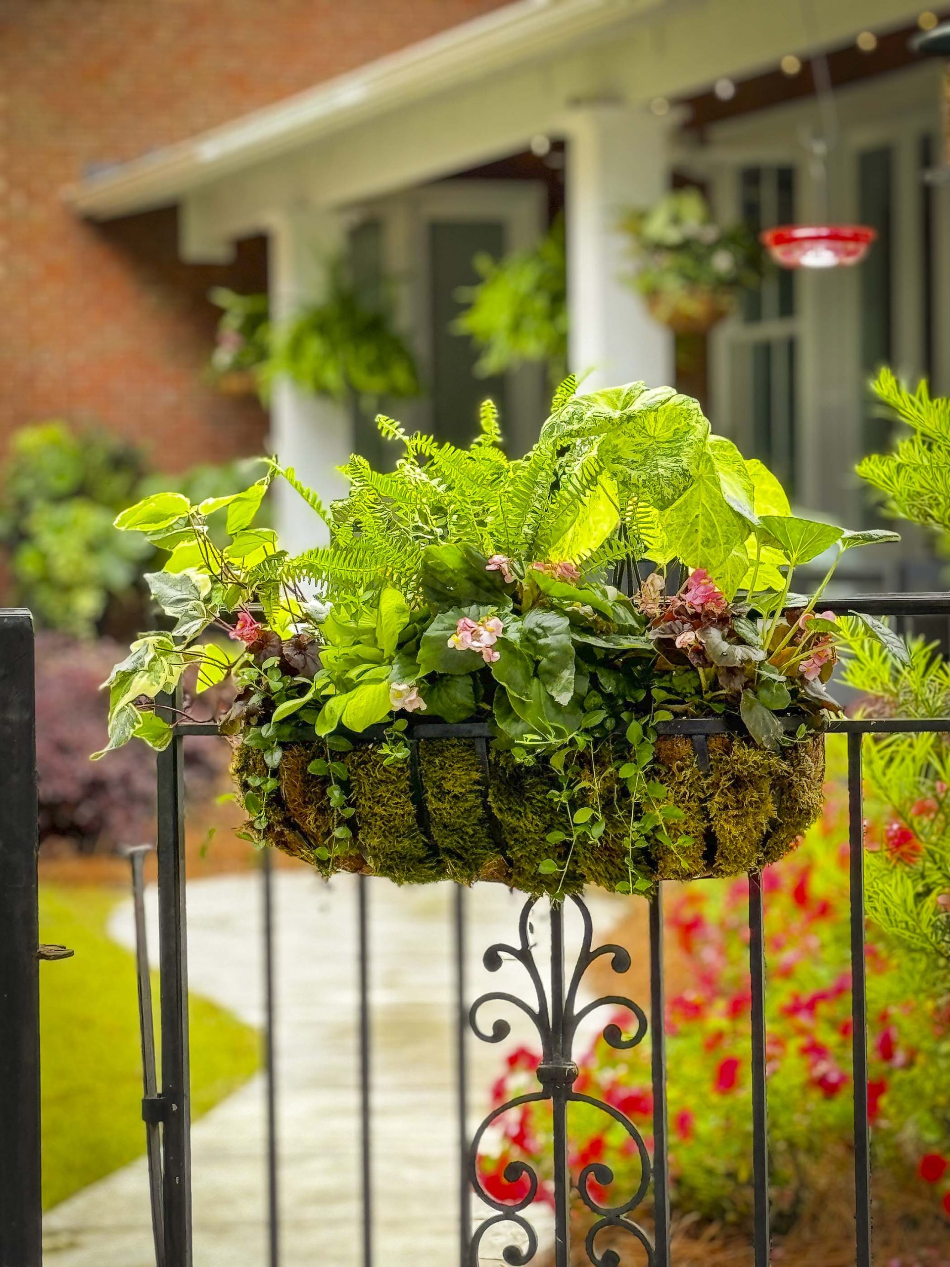Elevate Your Entrance - Columbia Metropolitan Magazine