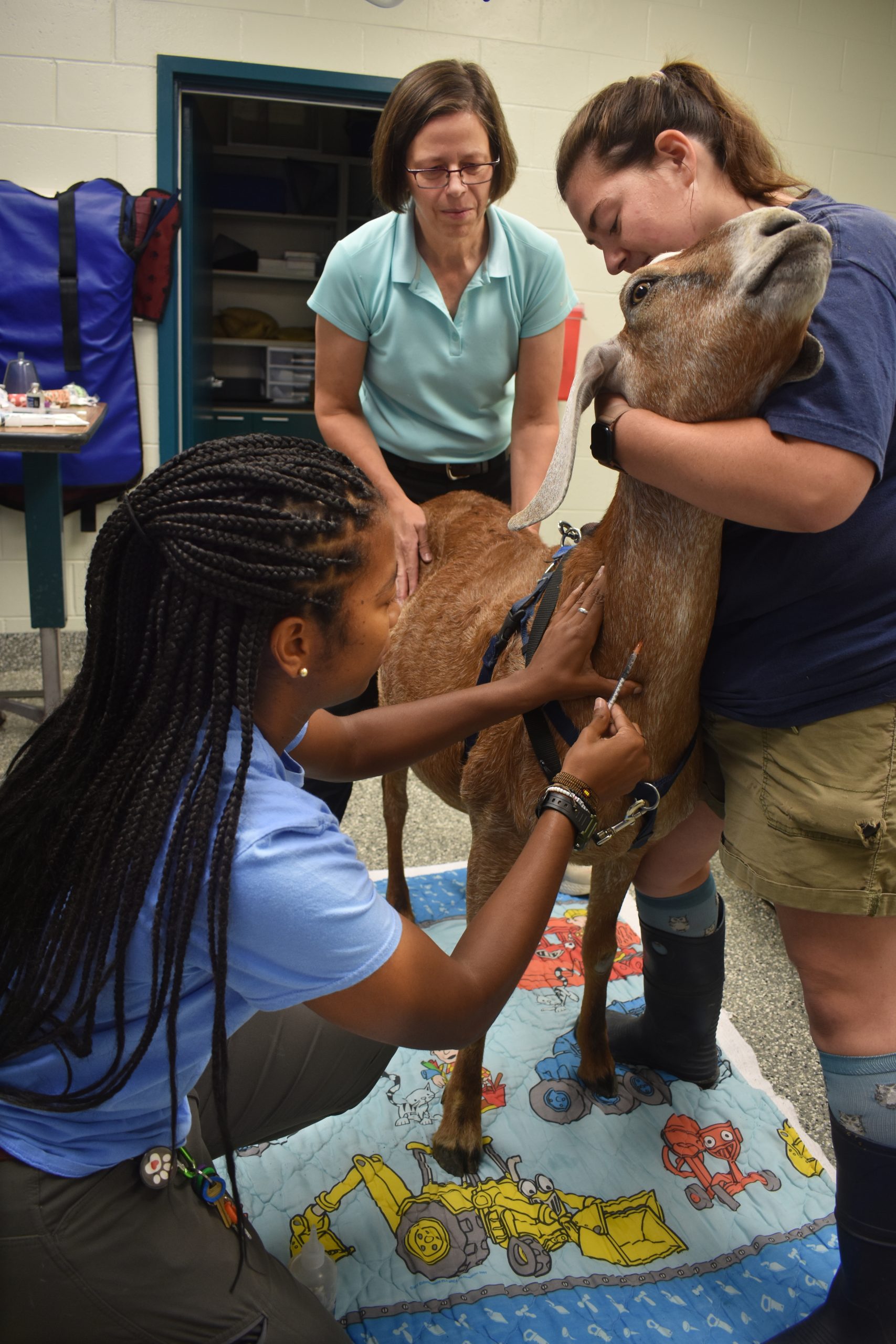 The Wild Side of Medicine - Columbia Metropolitan Magazine